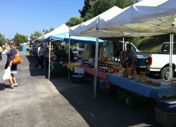 Dag 2716 – Farmers Market Hollywood