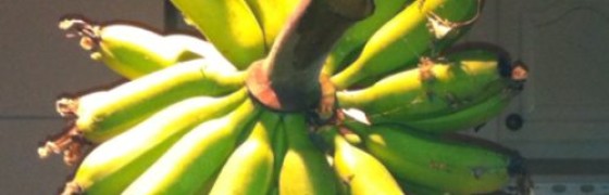 Dag 2760 – Skala banan