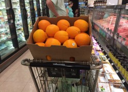 Dag 3314 – Det går åt lite apelsiner